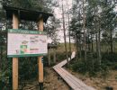 img 20250621