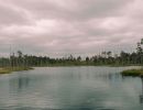 img 20250621