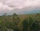img 20250621