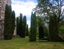 img 2026051644456
