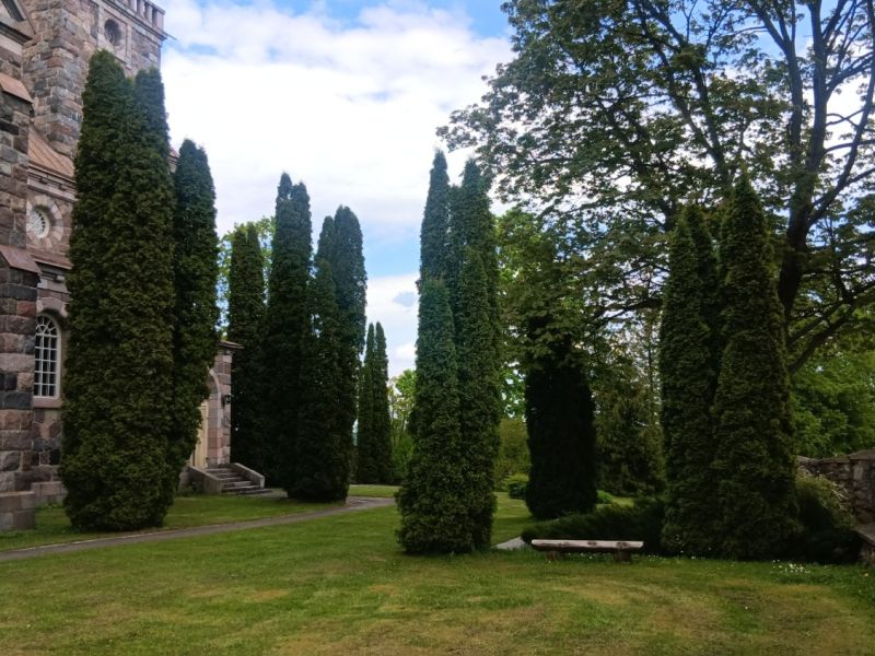 img 2026051644456