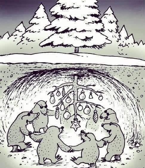 kurmiai sutinka naujus metus