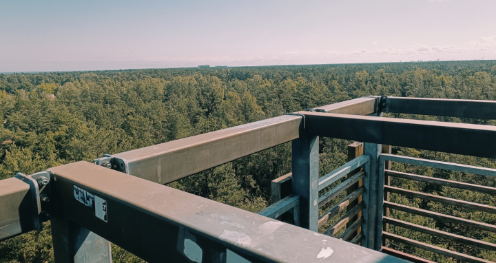 Dzintari miško parko apžvalgos bokštas