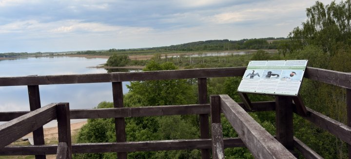 Ostrovas putnu vērošanas tornis