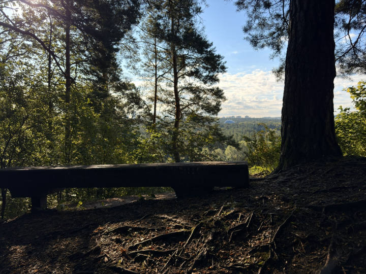 Suoliukas karoliniškių parke vilniuje 4