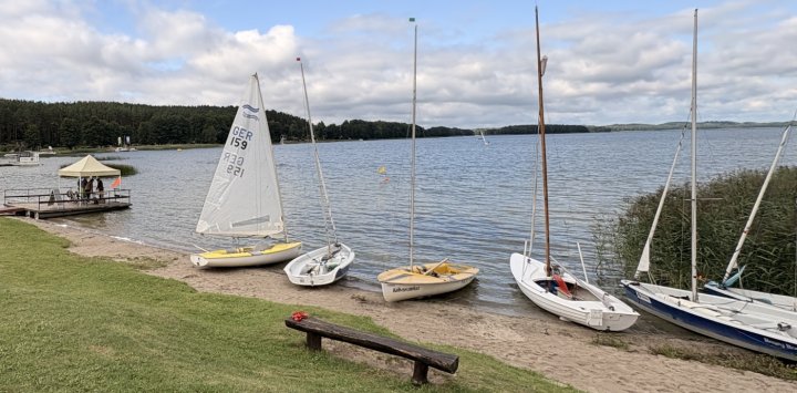 paluses regata